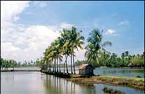 Backwaters Kerala