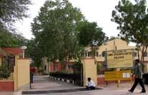 Camel breeding Farm