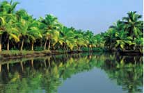 Backwaters